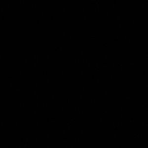 Meet your Posher, Luis